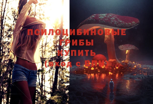 a pvp Новый Уренгой