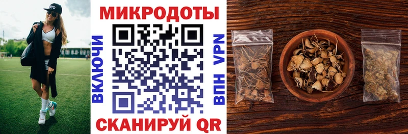 купить наркотик  Камень-на-Оби  Псилоцибиновые грибы ЛСД 