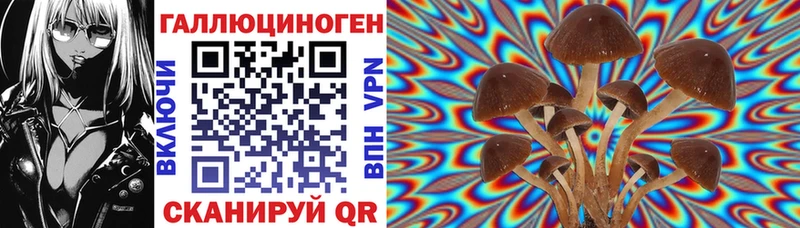 Псилоцибиновые грибы GOLDEN TEACHER Камень-на-Оби